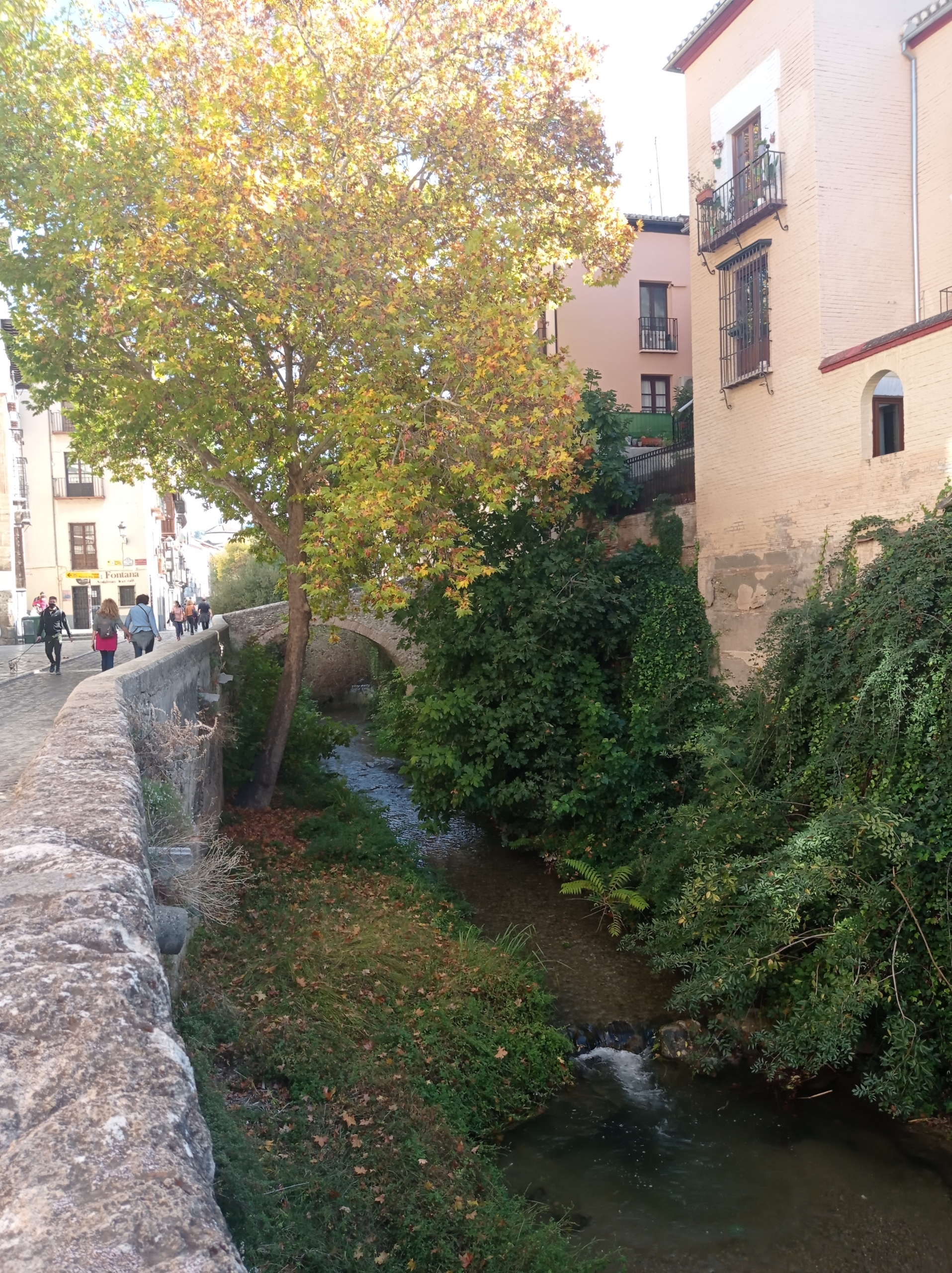 Carrera del Darro Carrera del Darro